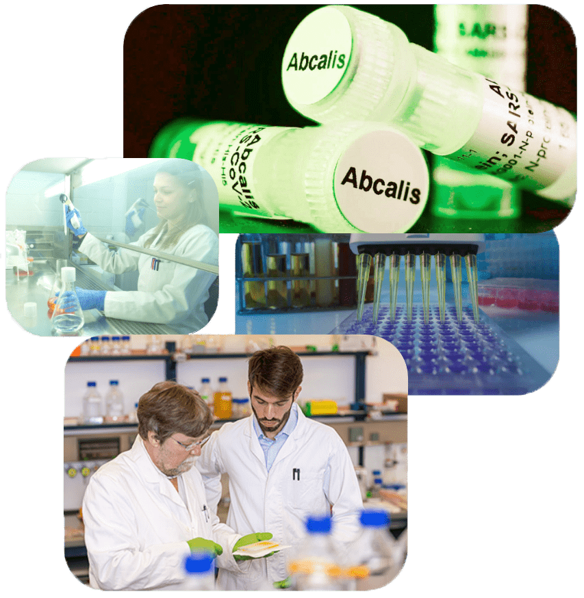 https://abcalis.com/wp-content/uploads/2021/12/abcalis_collection_mobile_01-min.png