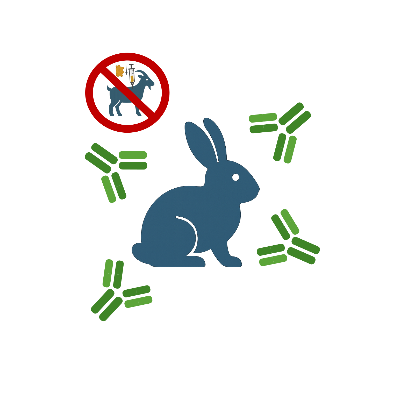 anti-rabbit_white_smaller_noGoat_larger